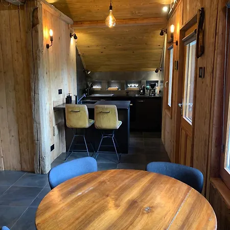 Alys, Contemporary Style In Mountain Village * Abondance